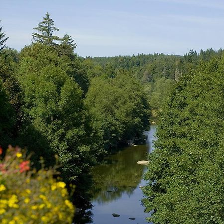 Logis Hotel Clair Matin Le Chambon-sur-Lignon Eksteriør bilde