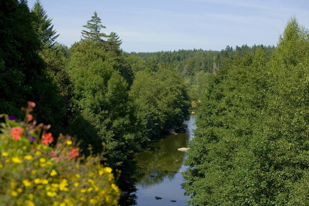 Logis Hotel Clair Matin Le Chambon-sur-Lignon Eksteriør bilde